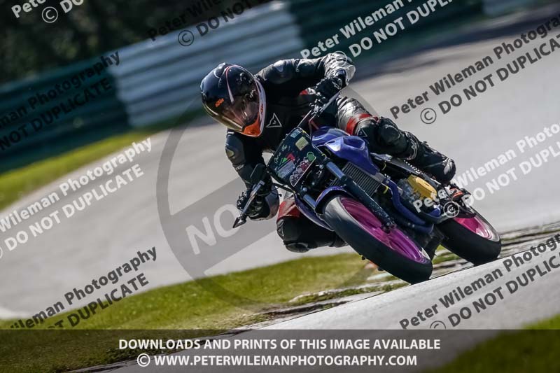 cadwell no limits trackday;cadwell park;cadwell park photographs;cadwell trackday photographs;enduro digital images;event digital images;eventdigitalimages;no limits trackdays;peter wileman photography;racing digital images;trackday digital images;trackday photos